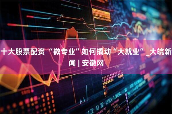 十大股票配资 “微专业”如何撬动“大就业”_大皖新闻 | 安徽网